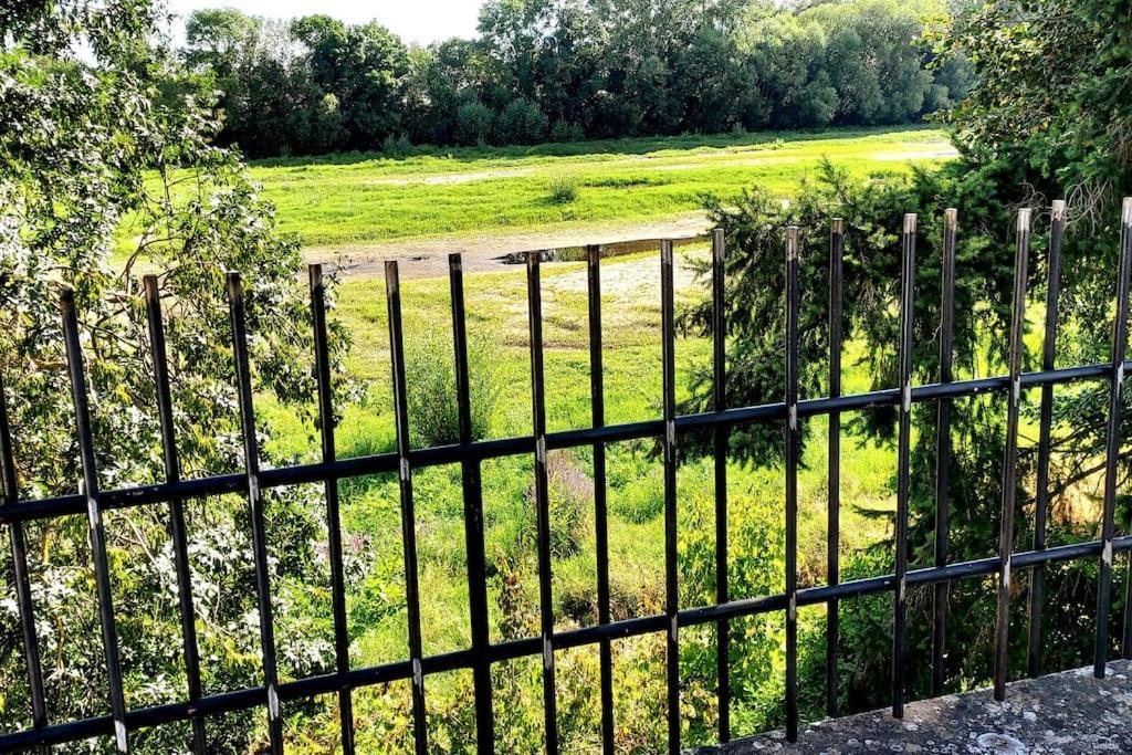 Le Bois Flotte - Maison Au Coeur De La Loire Entre Ville Et Nature Сомюр Екстериор снимка